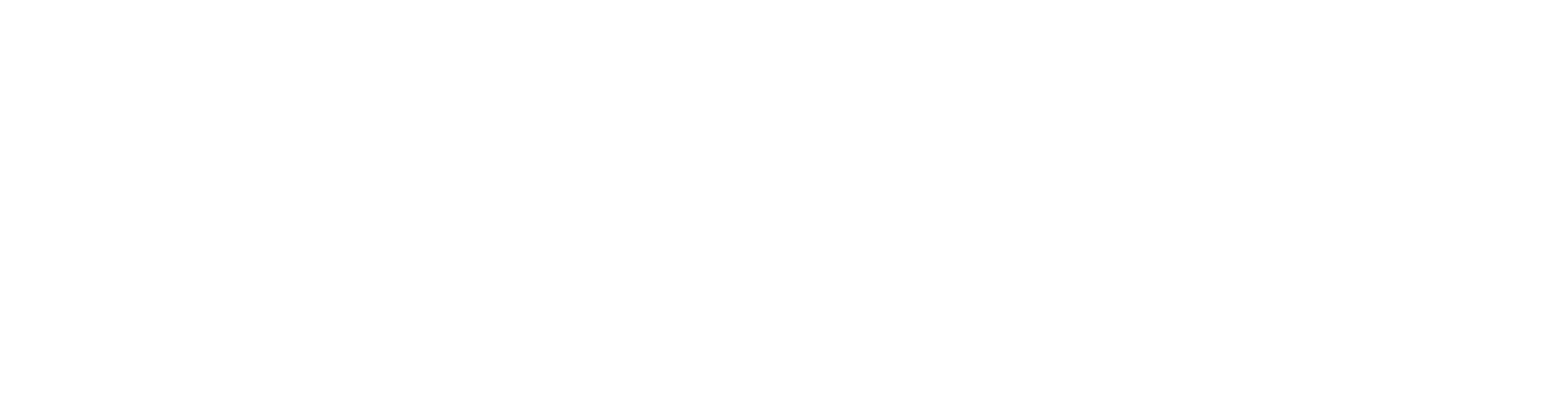 VivSoft Logo
